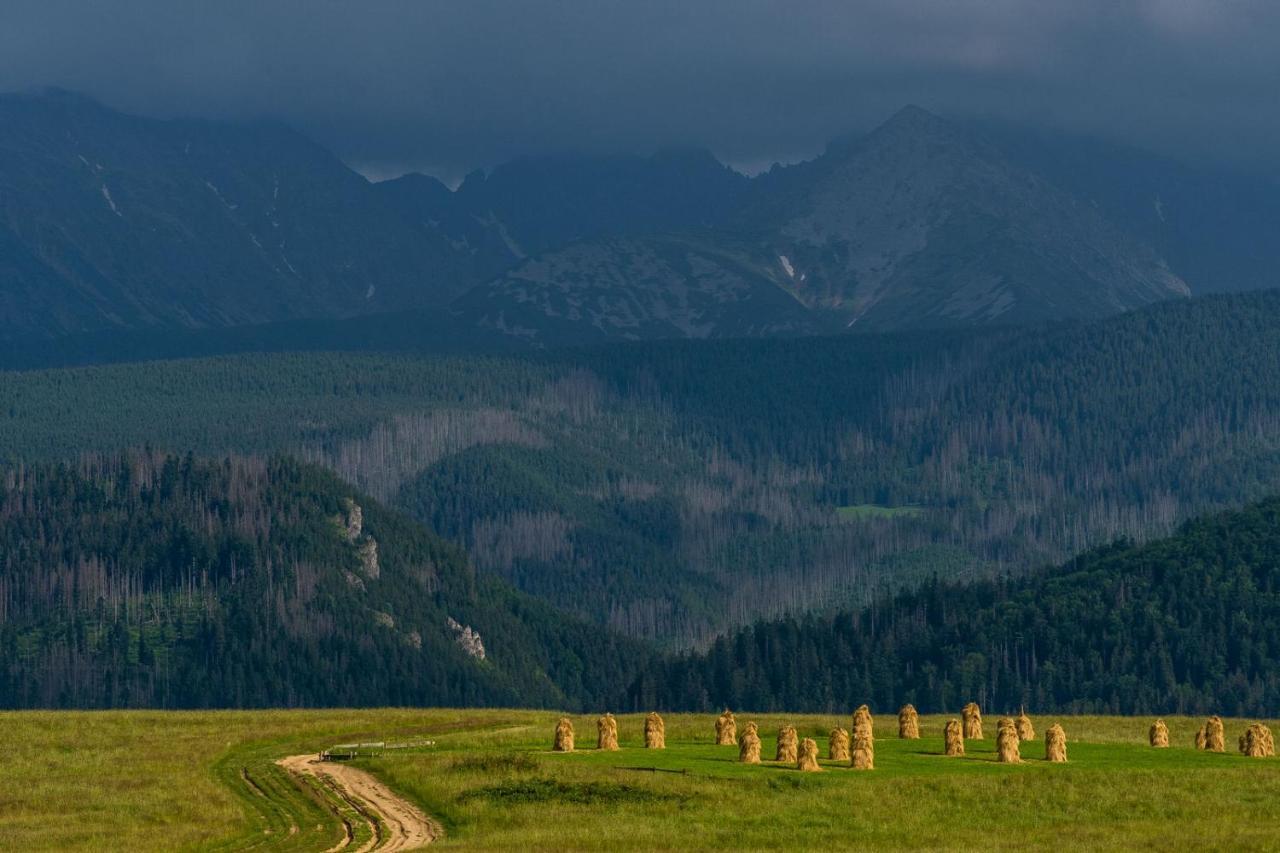 Willa Rzepicha Zakopane Exteriör bild